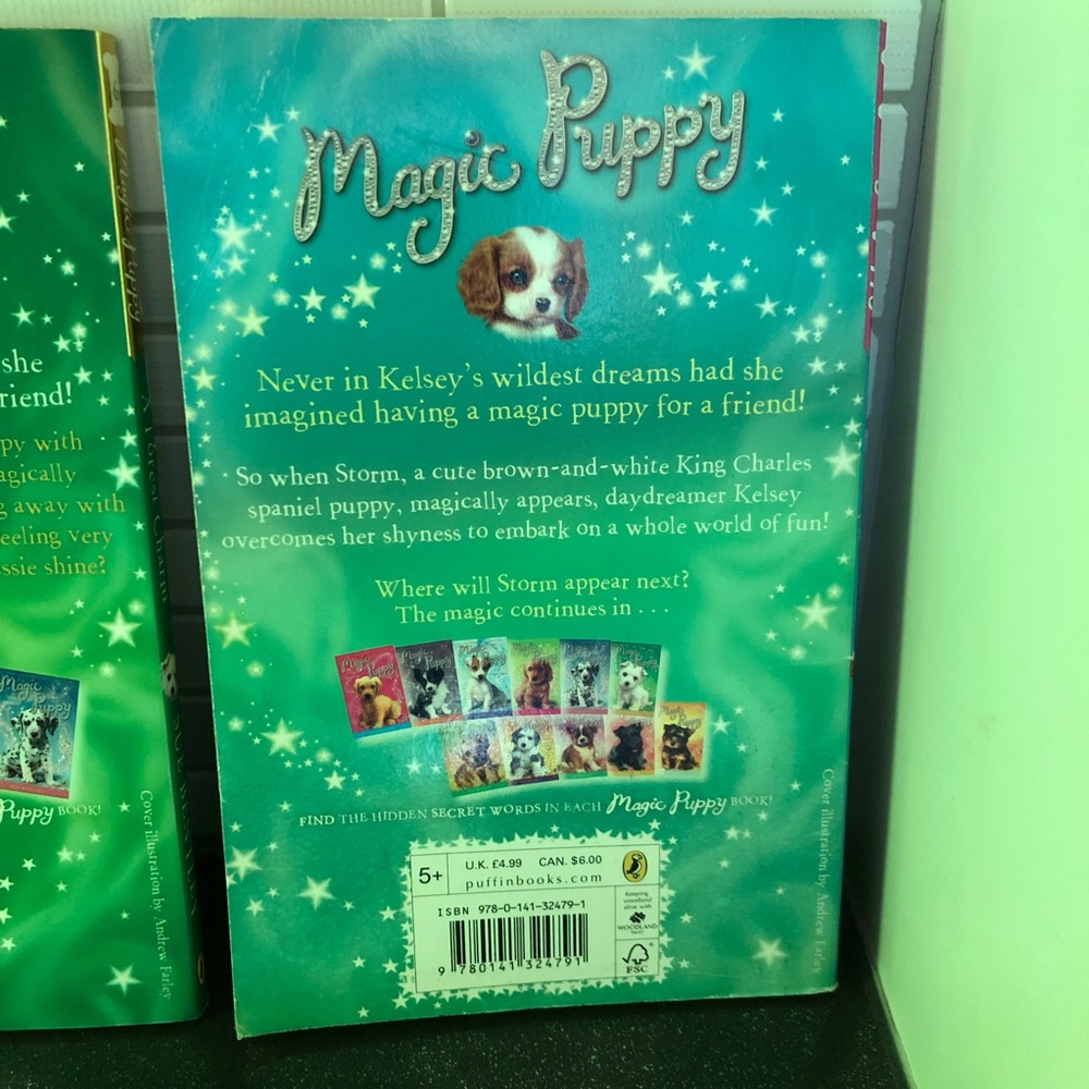 Lot of 3 Magic Puppy books - Picture 7 of 11